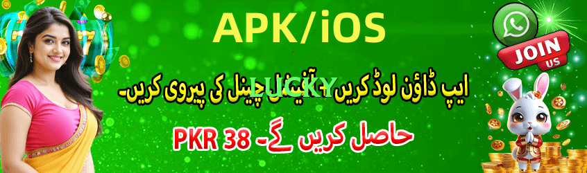 lucky wheel Pro Screenshot 1