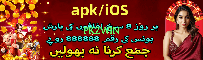 pk2win Prime v3.0.0 Screenshot 2