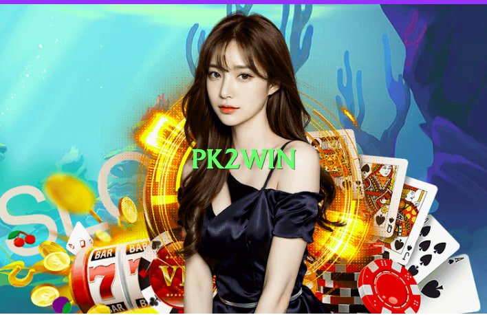 pk2win Prime v3.0.0 Screenshot 1